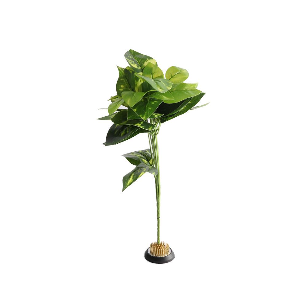 ฐานยางสำหรับเสียบดอกไม้แบบมีหน - Flower Frog Pin บทวิจารณ์และราคา