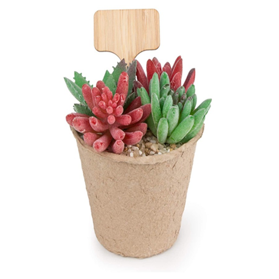 ป้ายไม้สำหรับติดต้นไม้ 100 ชิ้ - Floral Picks Wood บทวิจารณ์และราคา